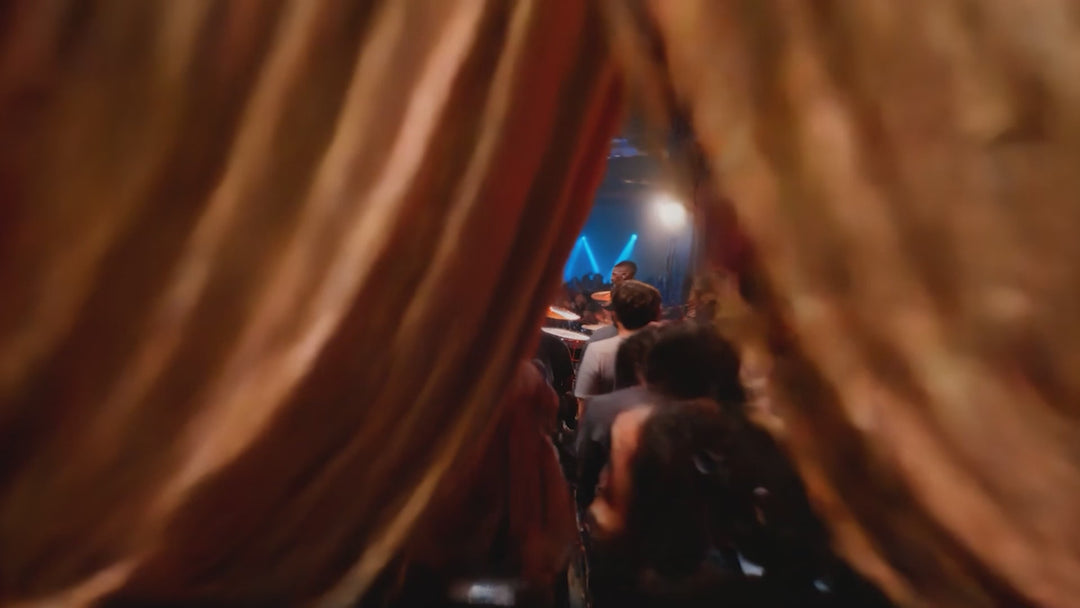 Z22 Universal Dual Dynamic Driver In Ear Monitor