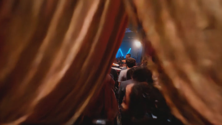 Z22 Universal Dual Dynamic Driver In Ear Monitor